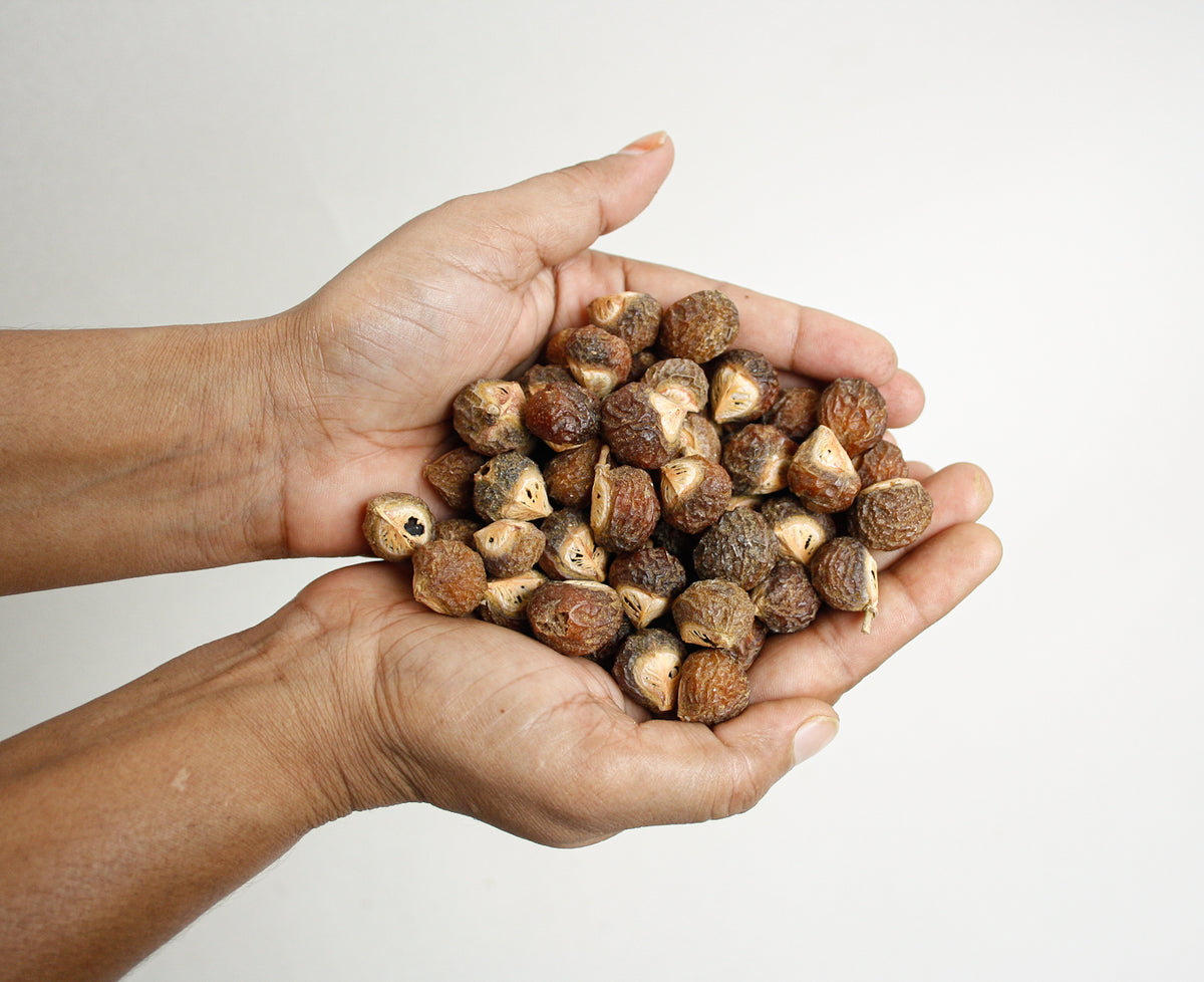 Organic Soapnuts, Indian Soap Berries with Cotton Storage Bag (1 kg)