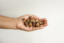 Organic Soapnuts, Indian Soap Berries with Cotton Storage Bag (1 kg)