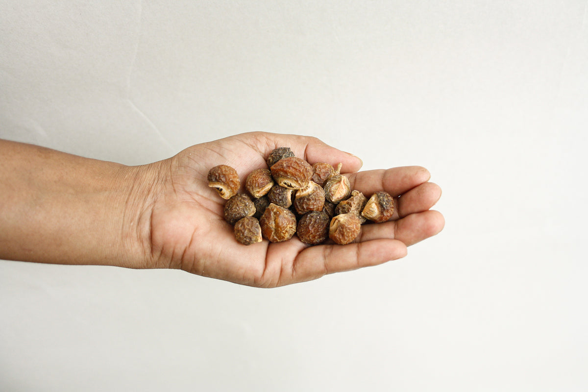 Organic Soapnuts, Indian Soap Berries with Cotton Storage Bag (1 kg)